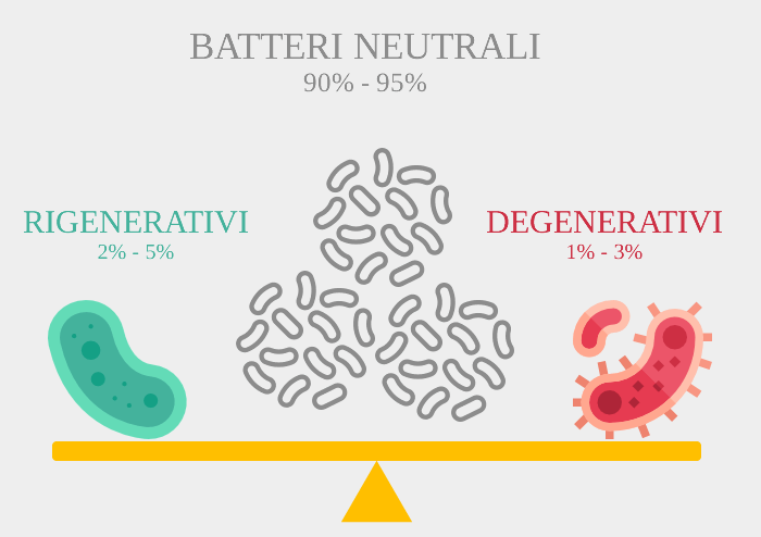 L'equilibrio del sistema microbiotico